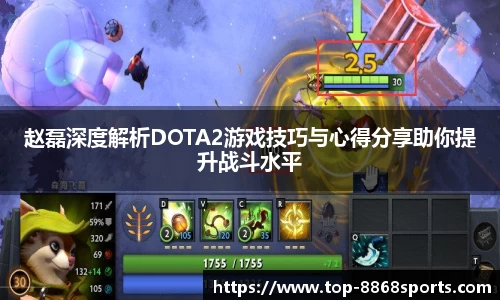 赵磊深度解析DOTA2游戏技巧与心得分享助你提升战斗水平